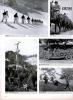 Swiss Army Defends, Page 2